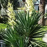 Отель Park Calitto 3*