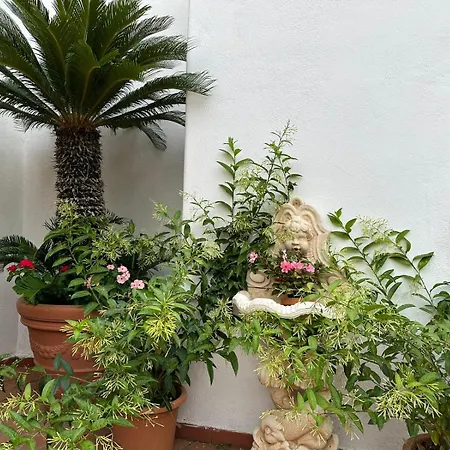 Park Calitto 3* Форио