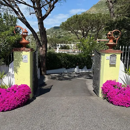 Park Calitto Hotel Forio di Ischia