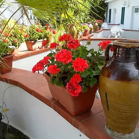Park Calitto Hotel