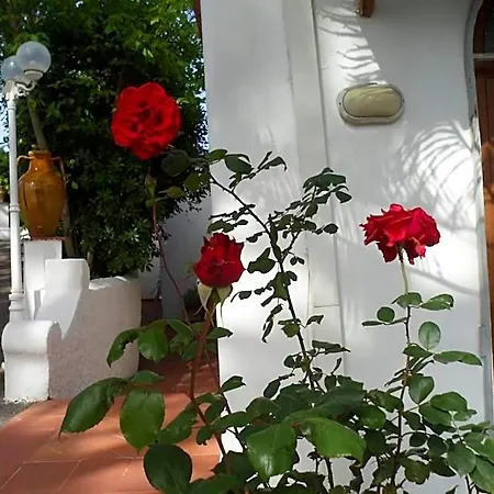 Park Calitto Hotel