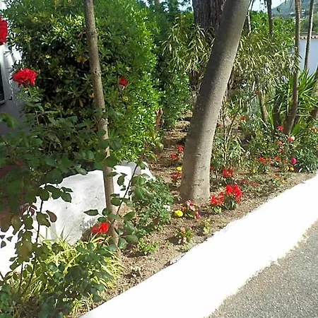 Park Calitto Hotel Forio di Ischia