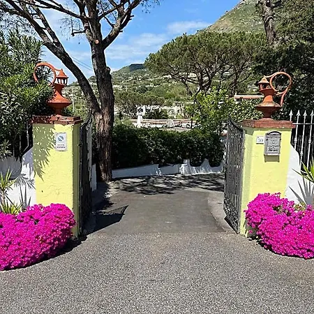 Park Calitto Forio di Ischia