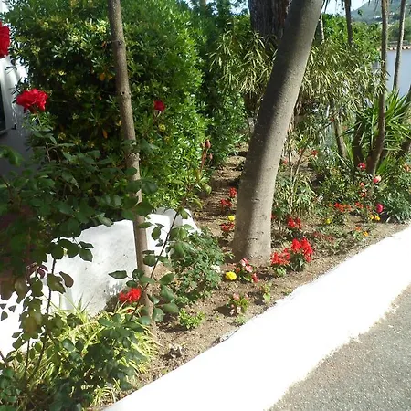 Park Calitto Forio di Ischia