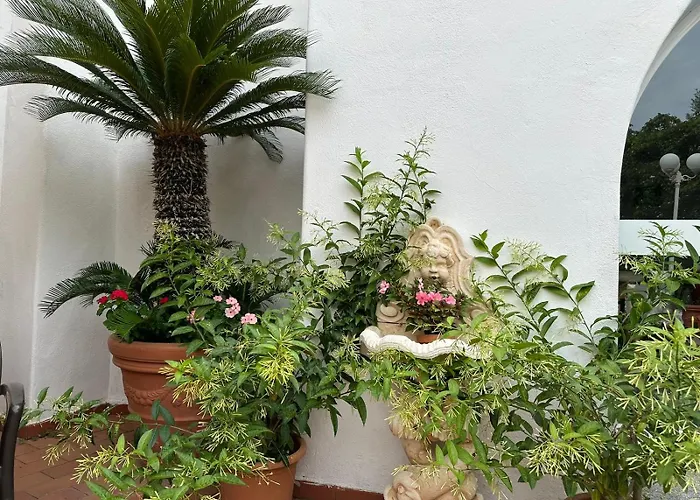 Park Calitto 3* Форио