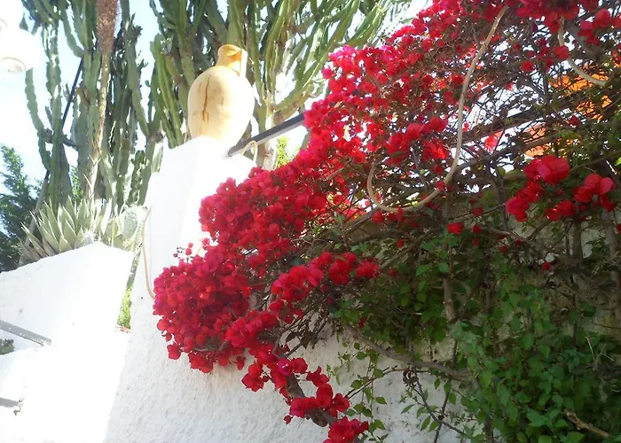 Отель Park Calitto 3*