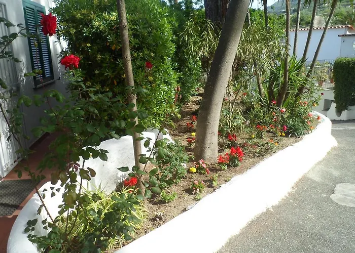 Park Calitto Форио