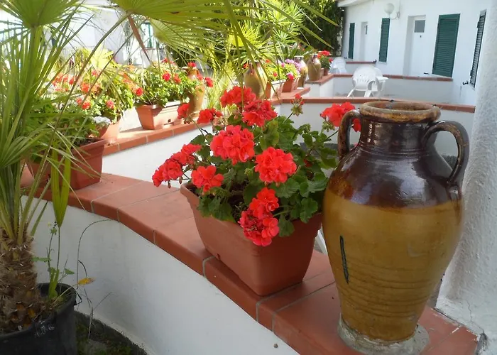 Отель Park Calitto Форио