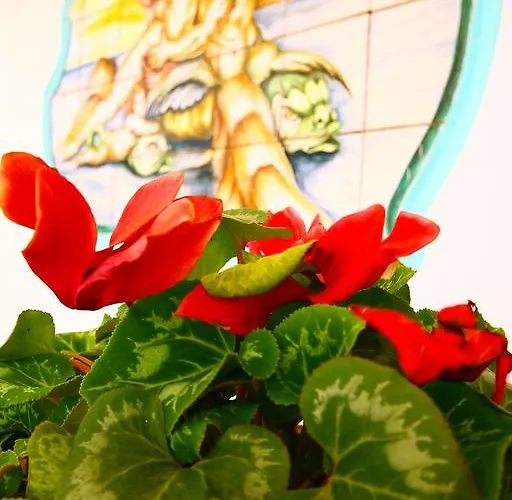 Отель Park Calitto 3*