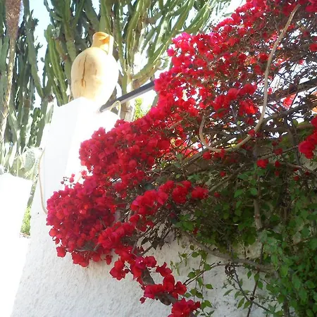 호텔 Park Calitto 3*