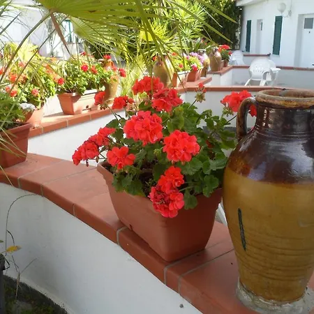 호텔 Park Calitto Forio di Ischia