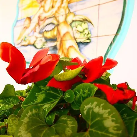 호텔 Park Calitto 3*